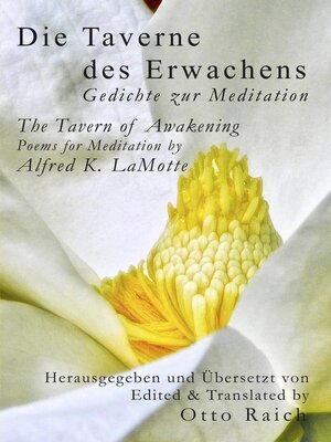 cover image of Die Taverne des Erwachens